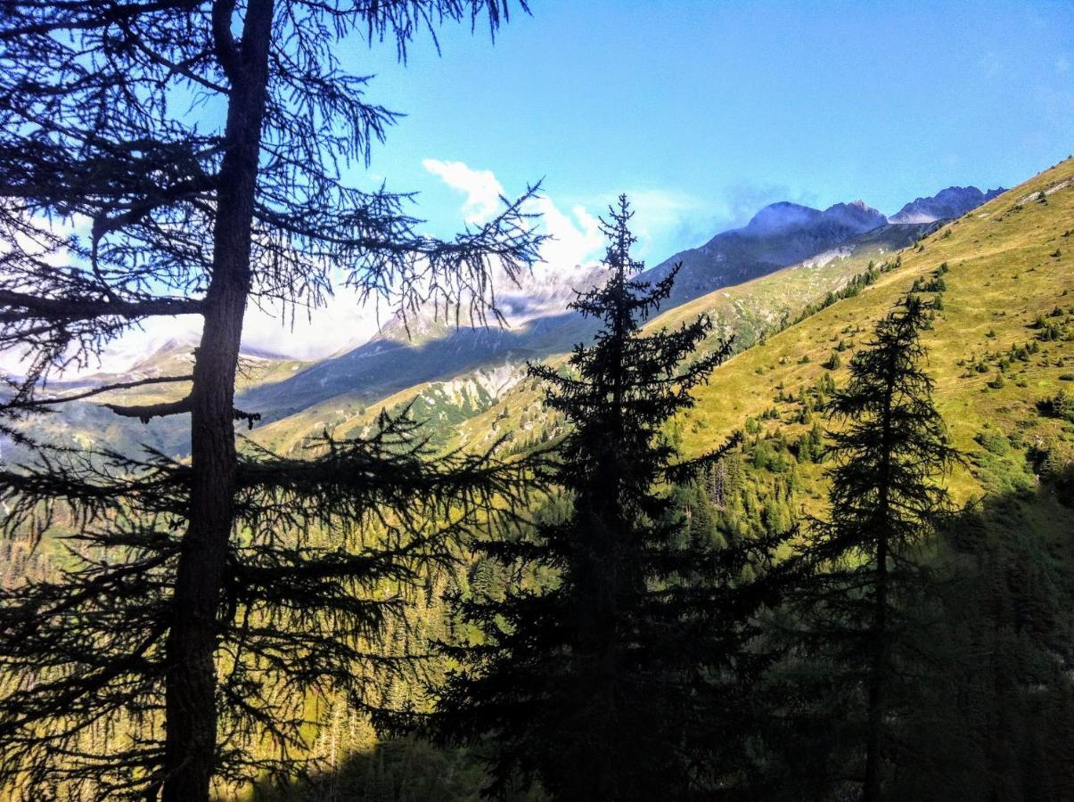 Apartment Cristina - Suedbalkon Mit Bergblick Seefeld in Tirol Exteriér fotografie